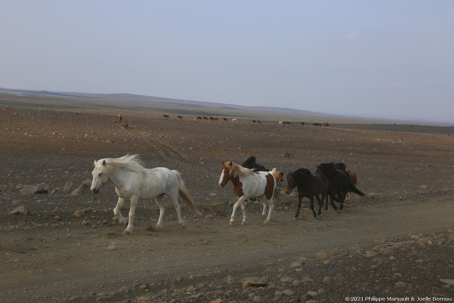 /ecran/Islande_0879.jpg