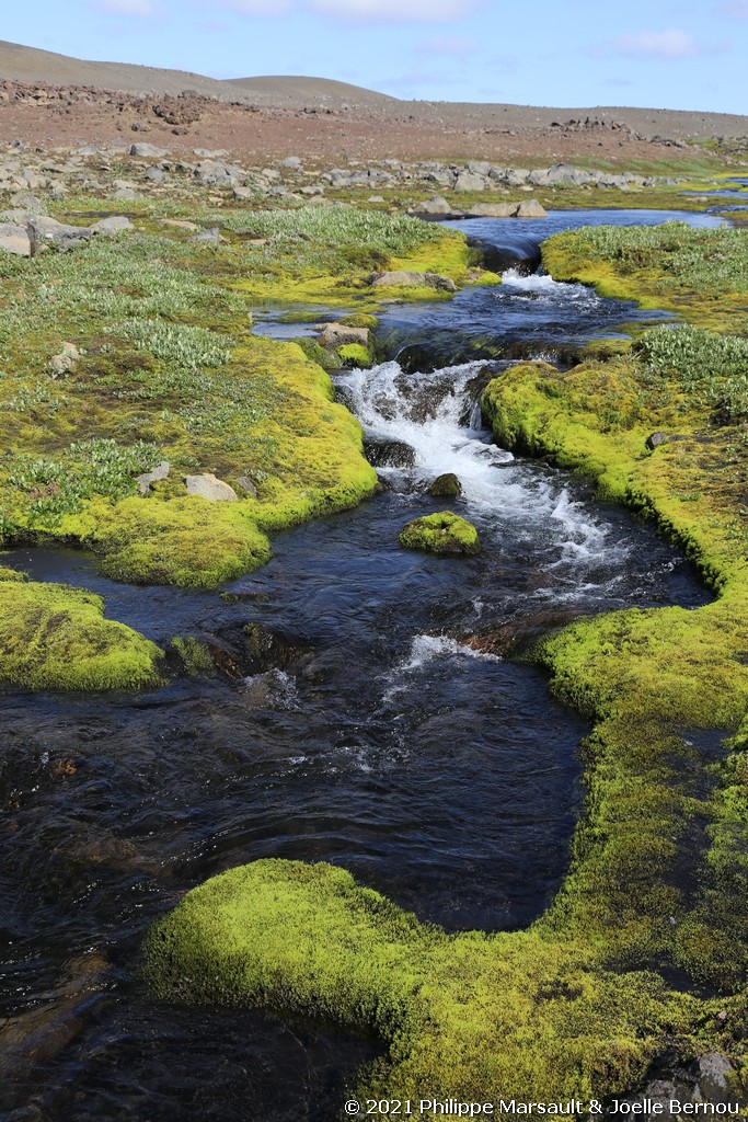 /ecran/Islande_0983.jpg