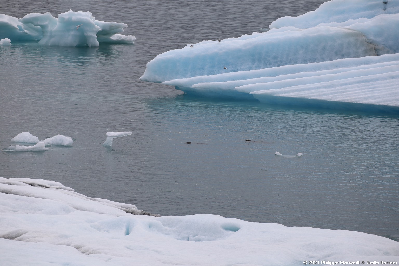 /ecran/Islande_1542.jpg