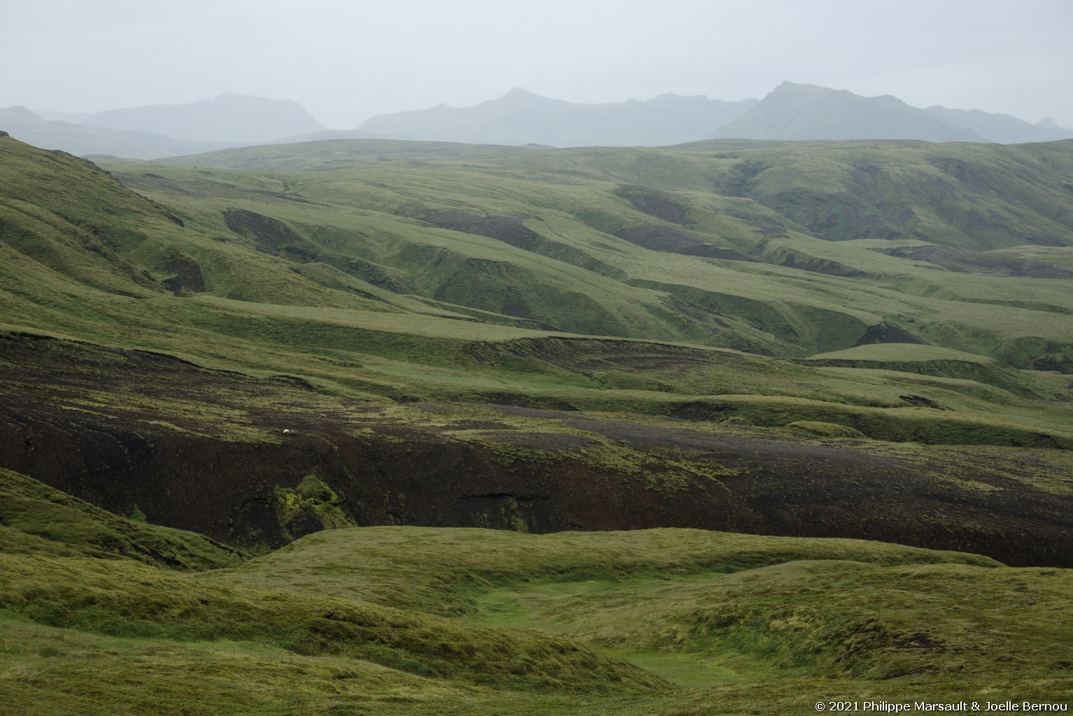 /ecran/Islande_1595.jpg