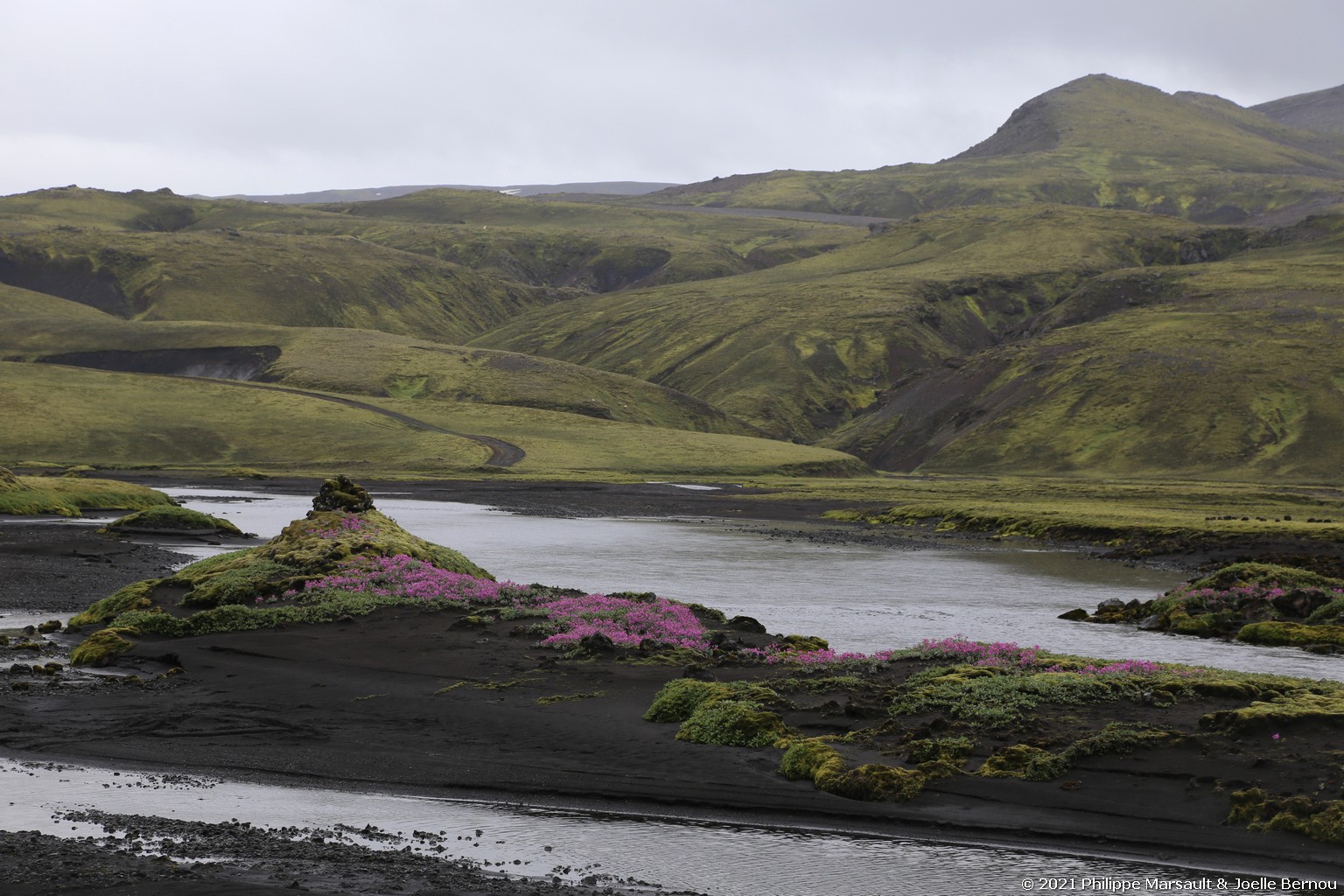 /ecran/Islande_1608.jpg