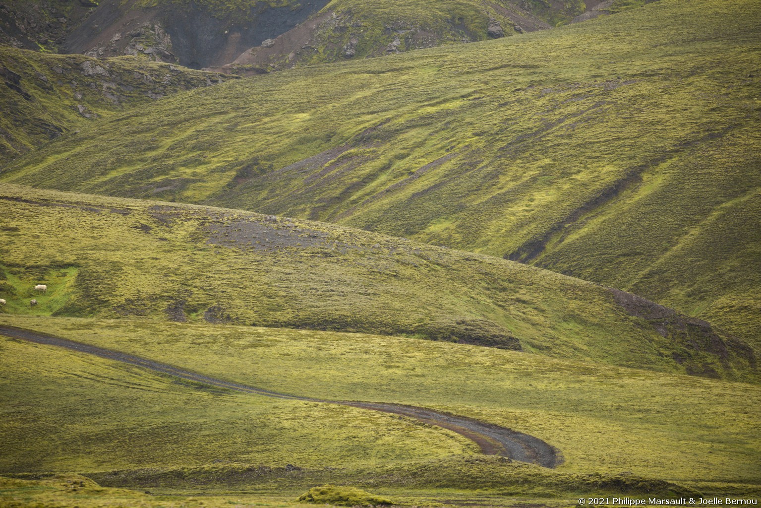 /ecran/Islande_1613.jpg