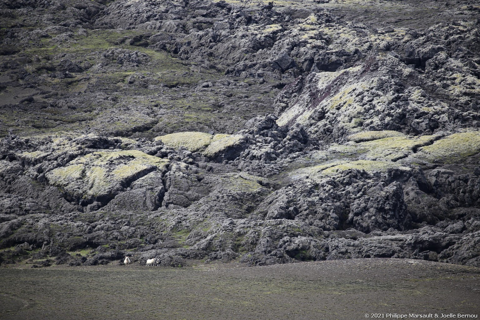 /ecran/Islande_1828.jpg