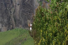 vignette Islande_0383.jpg