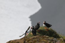 vignette Islande_0409.jpg