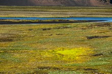 vignette Islande_0680.jpg