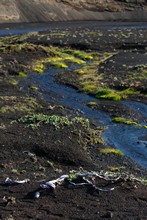 vignette Islande_0754.jpg