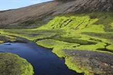 vignette Islande_0789.jpg