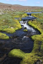 vignette Islande_0983.jpg