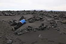 vignette Islande_0989.jpg