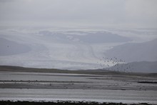 vignette Islande_1352.jpg