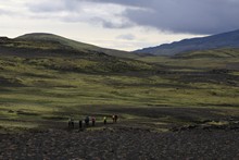 vignette Islande_1704.jpg