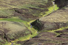 vignette Islande_1766.jpg