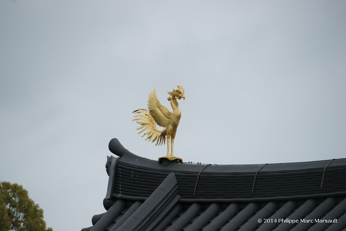 /ecran/Japon_2014_0117.jpg
