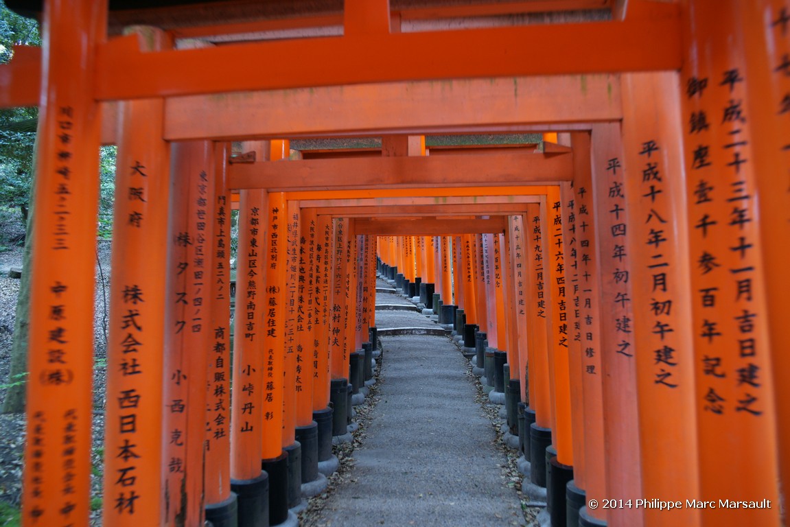 /ecran/Japon_2014_0158.jpg