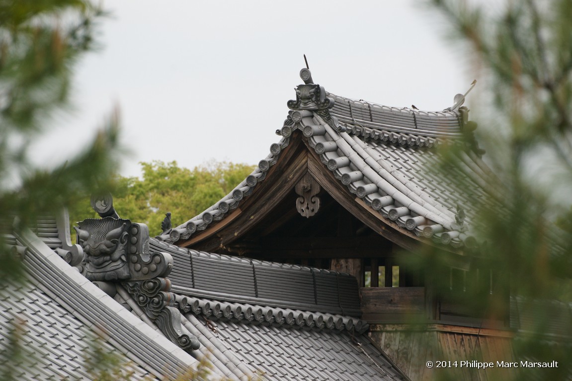 /ecran/Japon_2014_0238.jpg