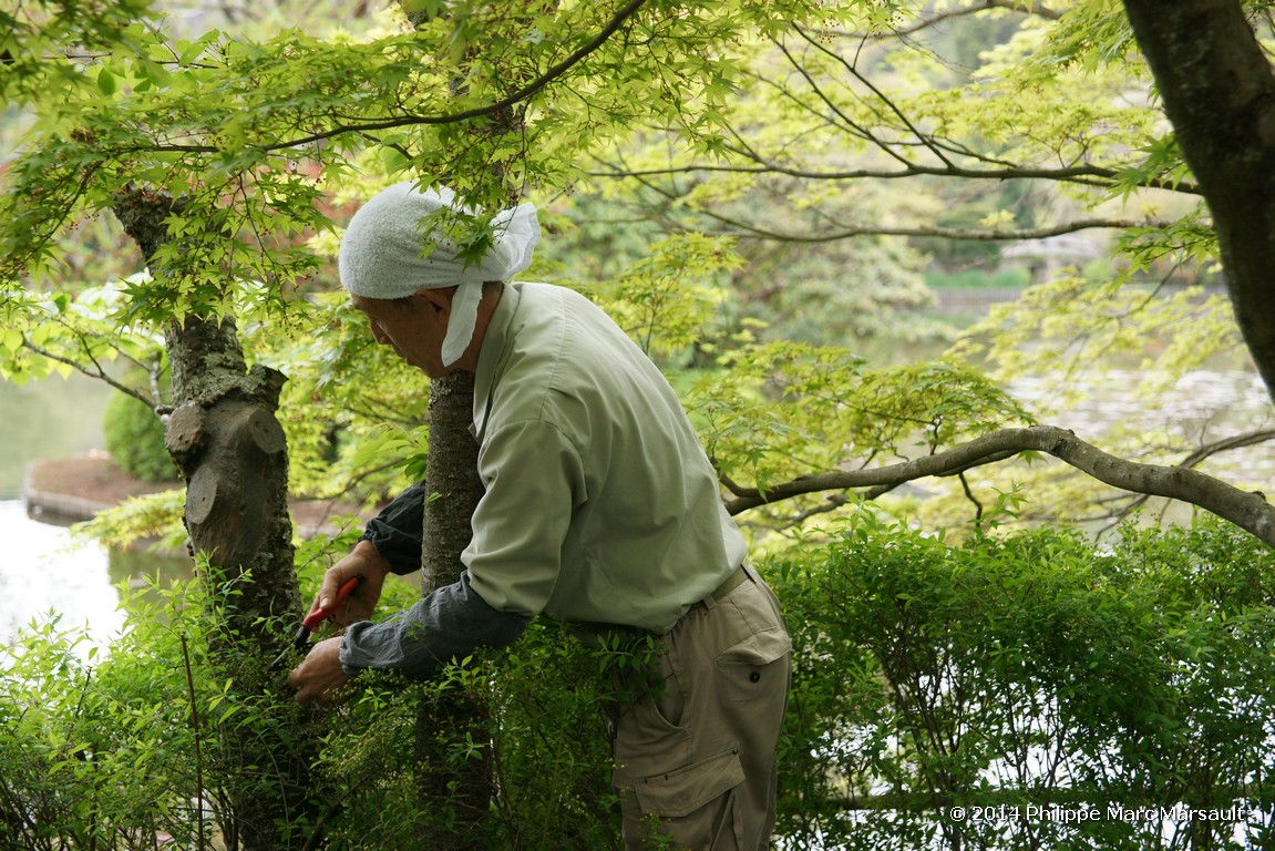 /ecran/Japon_2014_0293.jpg