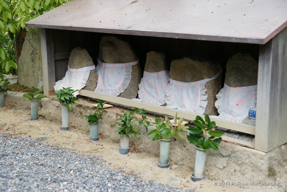 /ecran/Japon_2014_0313.jpg