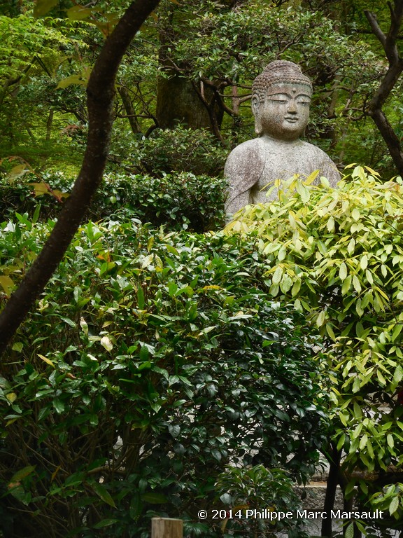 /ecran/Japon_2014_0321.jpg