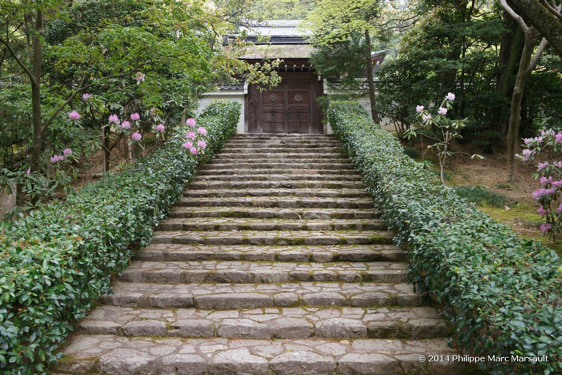 /ecran/Japon_2014_0361.jpg