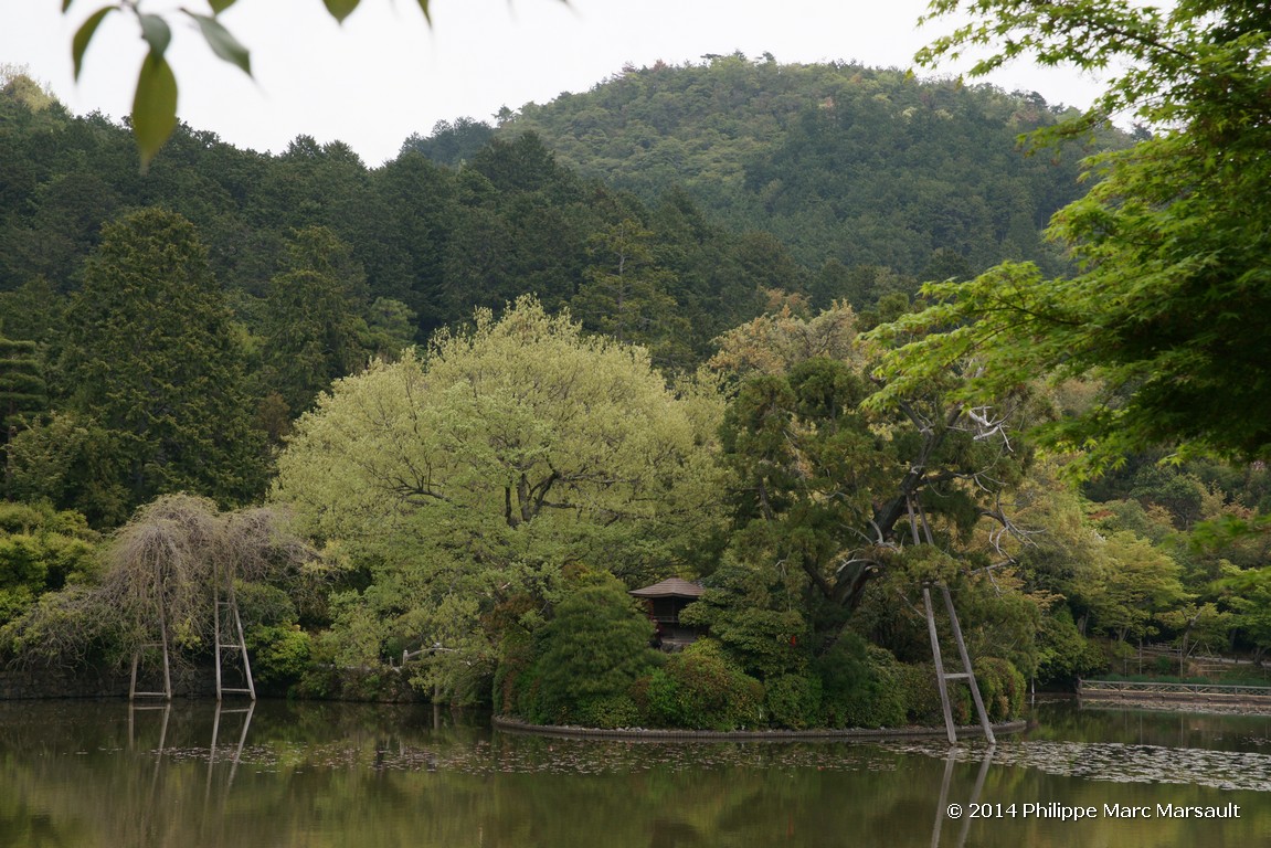 /ecran/Japon_2014_0377.jpg