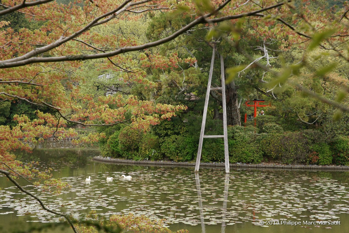 /ecran/Japon_2014_0382.jpg