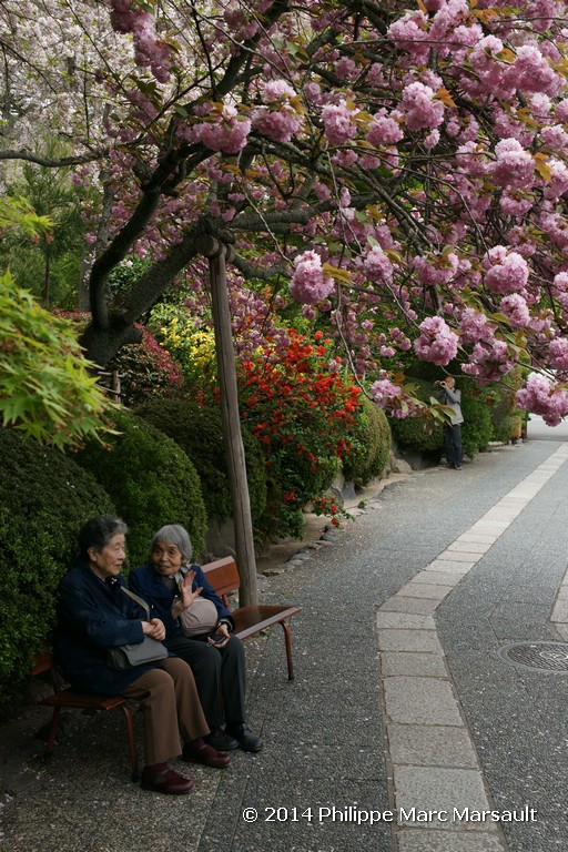 /ecran/Japon_2014_0386.jpg