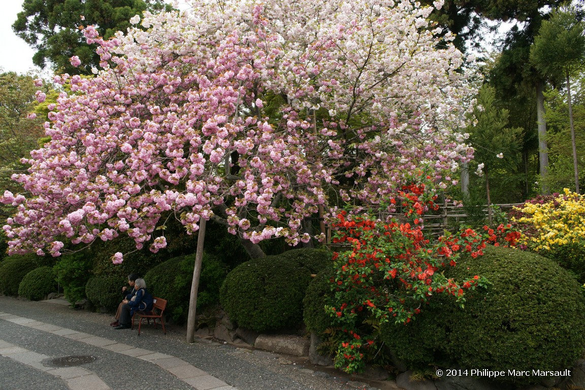 /ecran/Japon_2014_0388.jpg