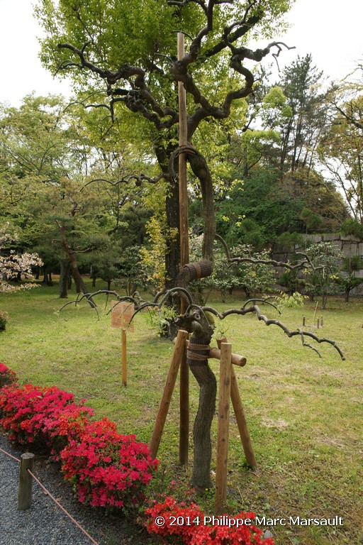 /ecran/Japon_2014_0430.jpg