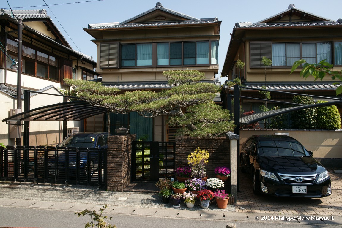 /ecran/Japon_2014_0493.jpg