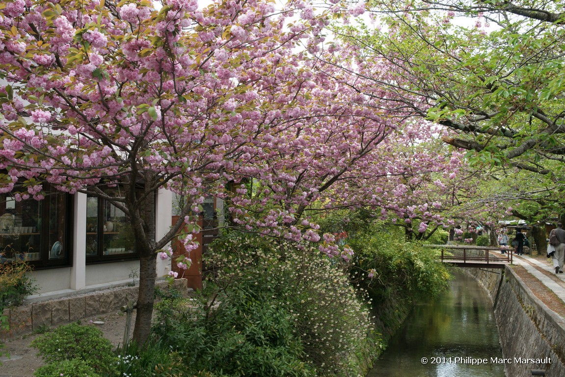 /ecran/Japon_2014_0575.jpg