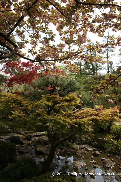/ecran/Japon_2014_0655.jpg