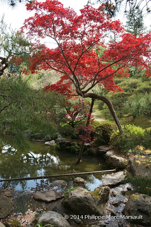 /ecran/Japon_2014_0657.jpg
