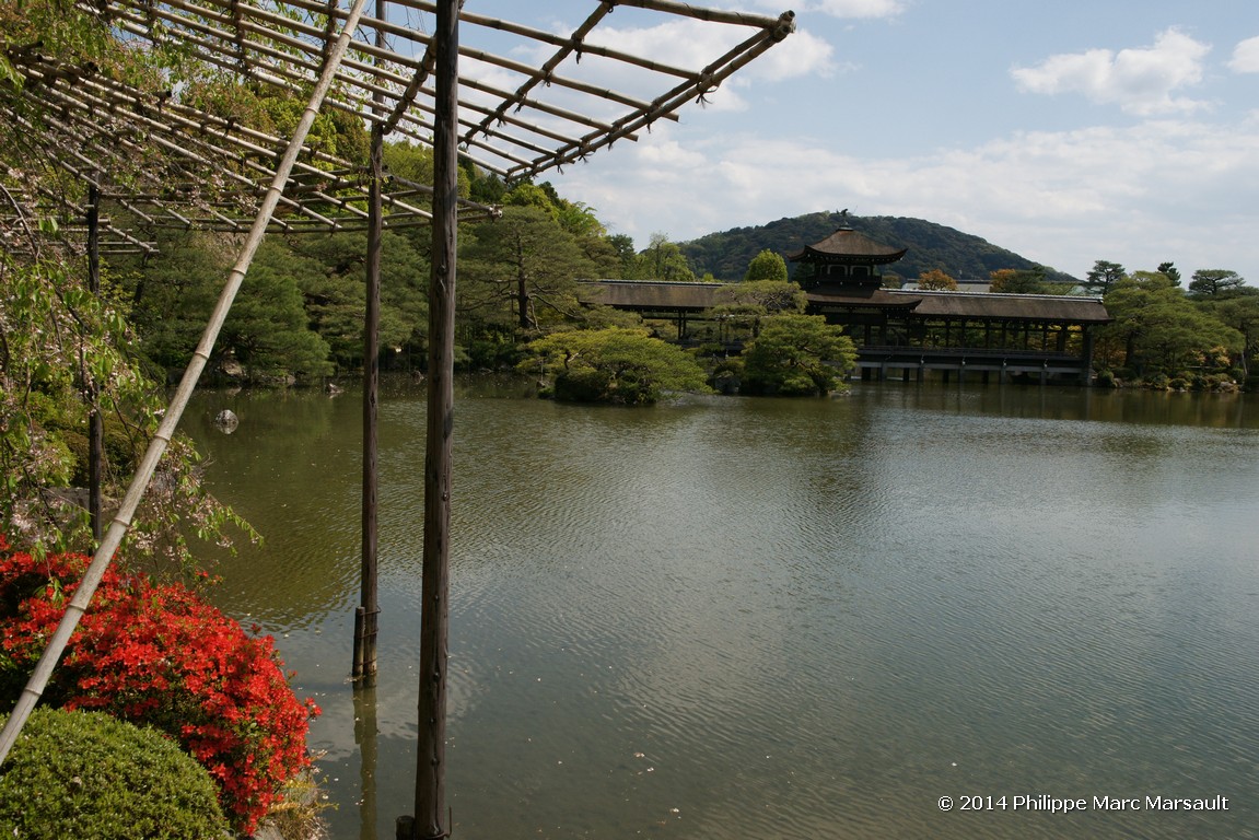 /ecran/Japon_2014_0661.jpg