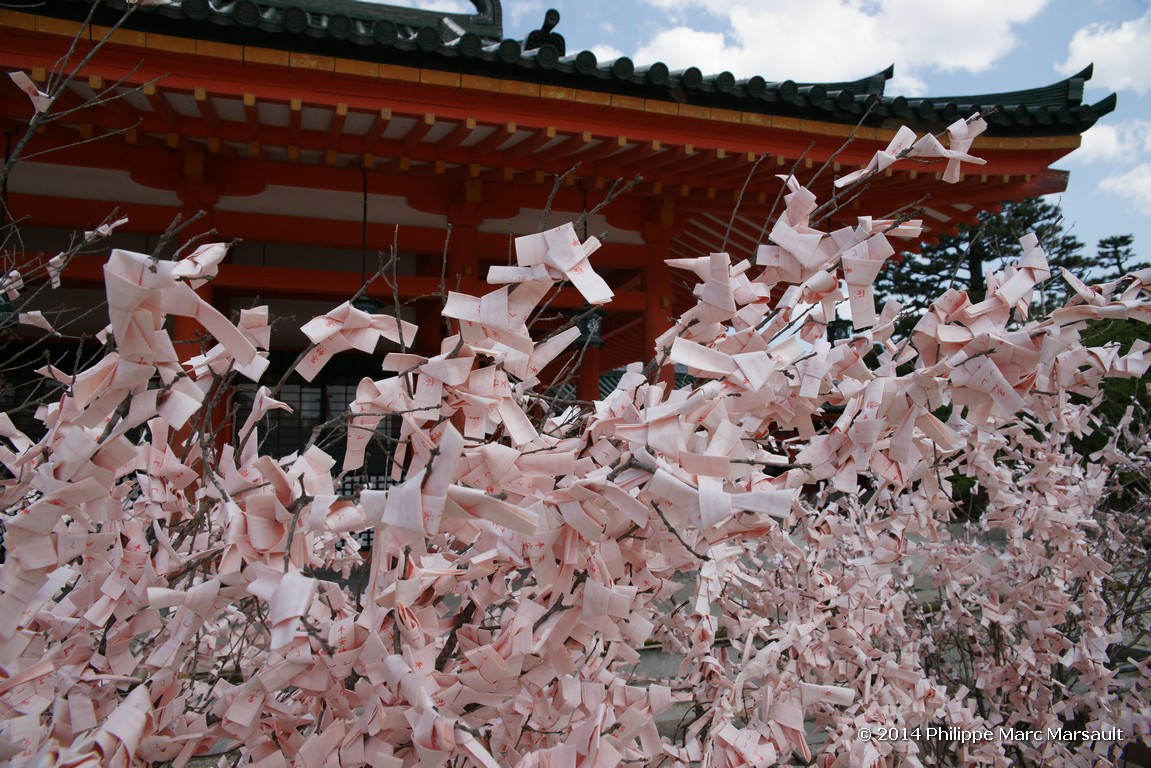 /ecran/Japon_2014_0676.jpg