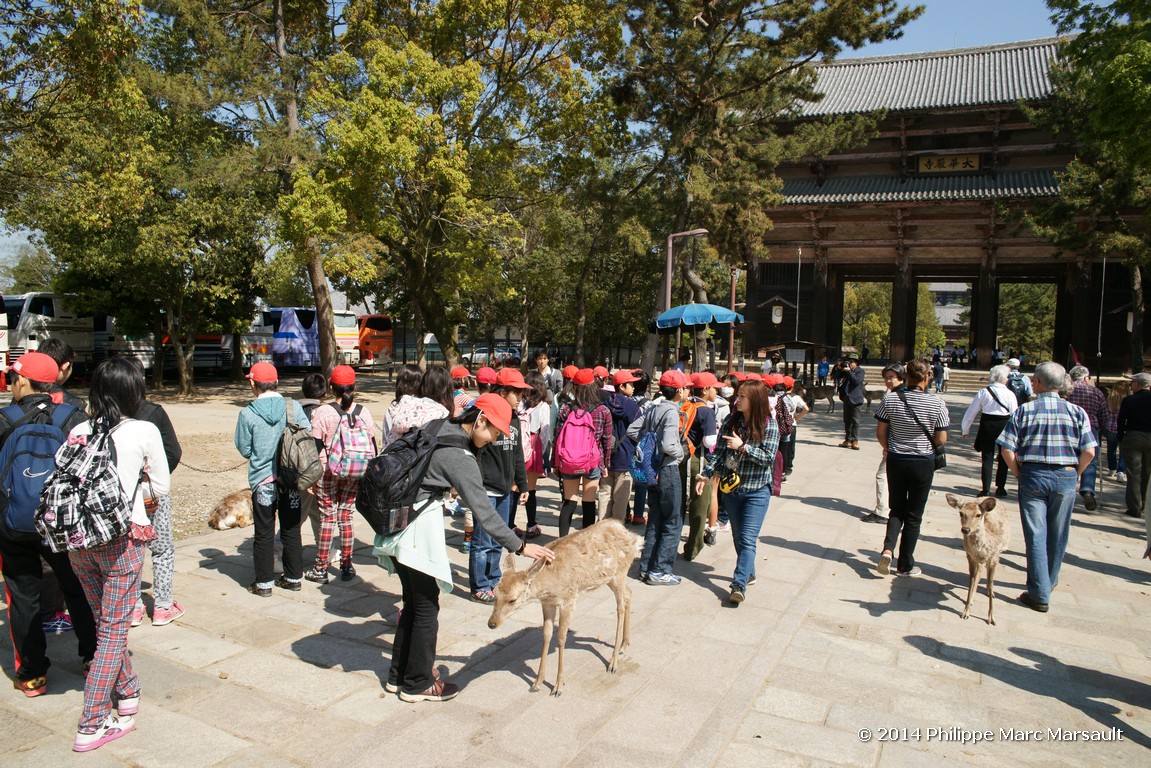 /ecran/Japon_2014_0751.jpg
