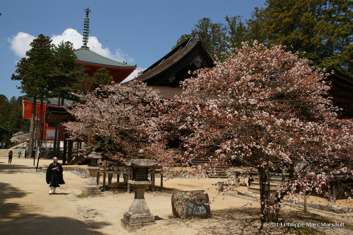 /ecran/Japon_2014_1050.jpg