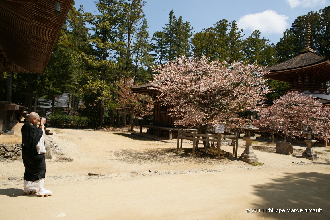 /ecran/Japon_2014_1053.jpg