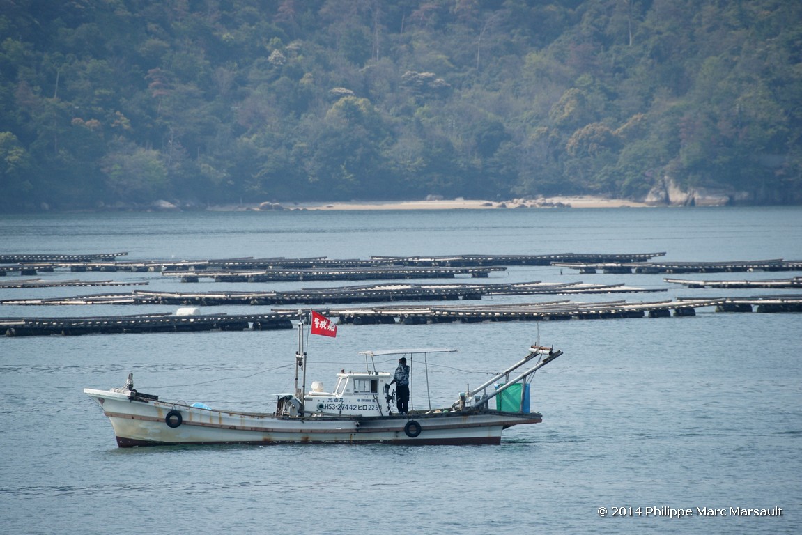 /ecran/Japon_2014_1119.jpg