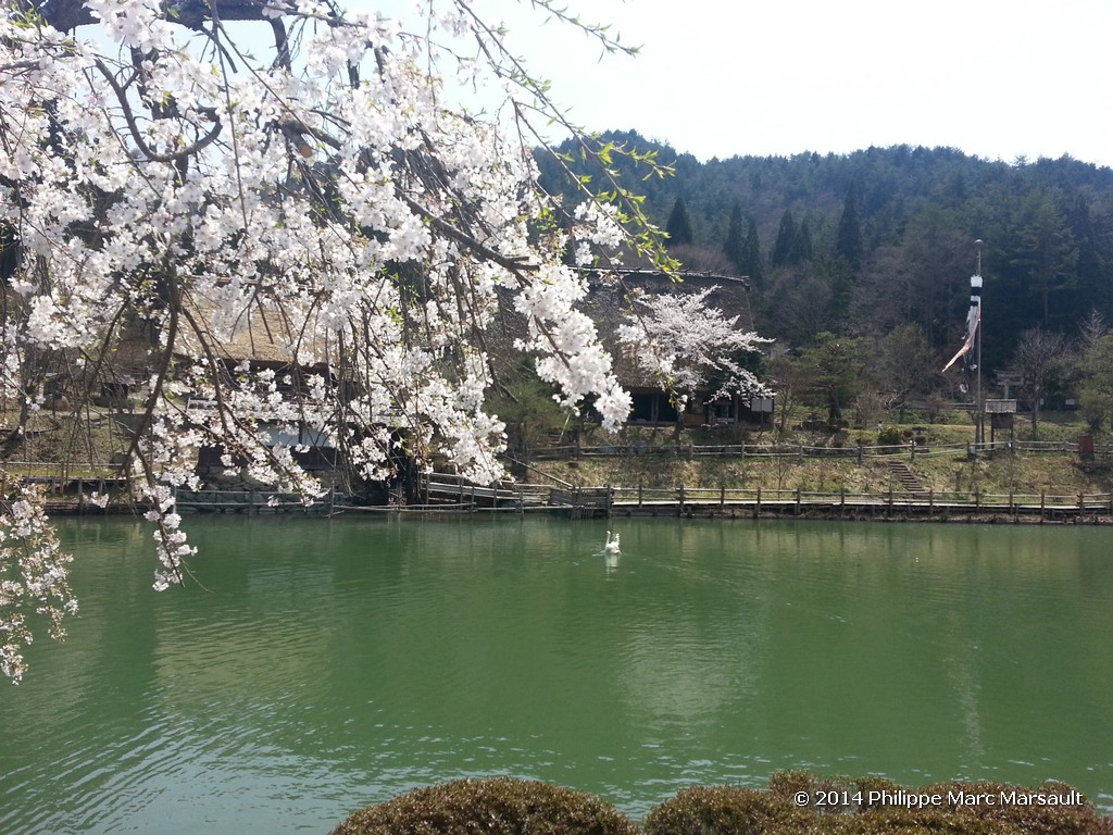 /ecran/Japon_2014_1355.jpg
