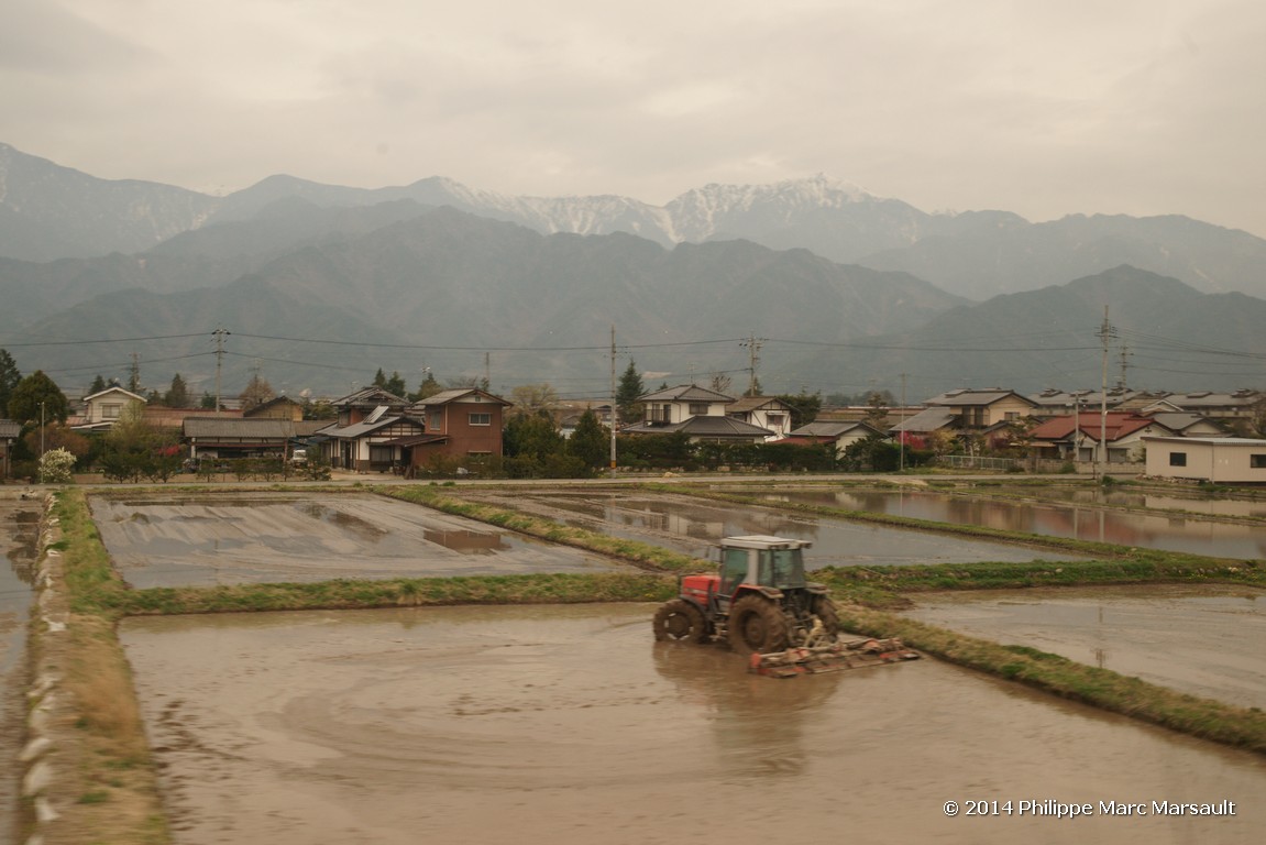 /ecran/Japon_2014_1602.jpg