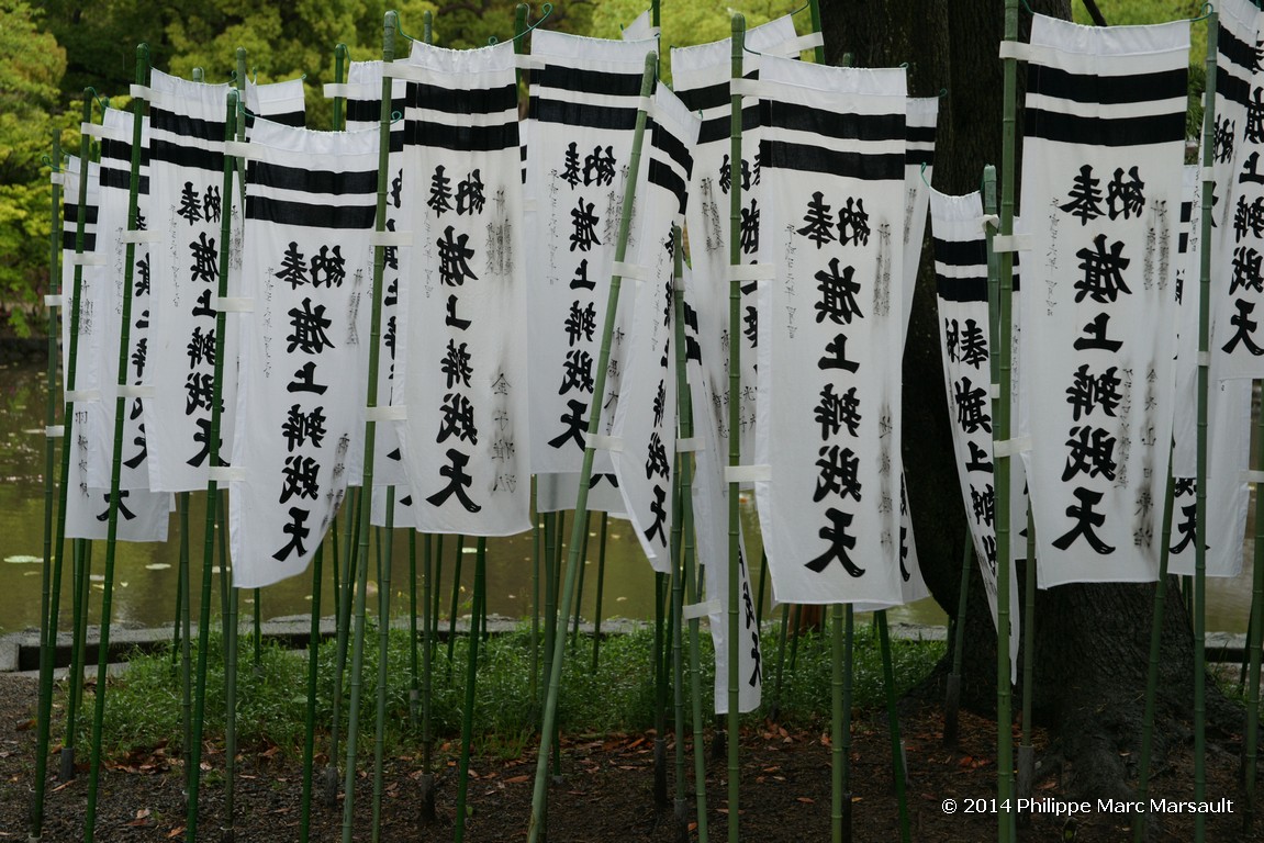 /ecran/Japon_2014_1735.jpg