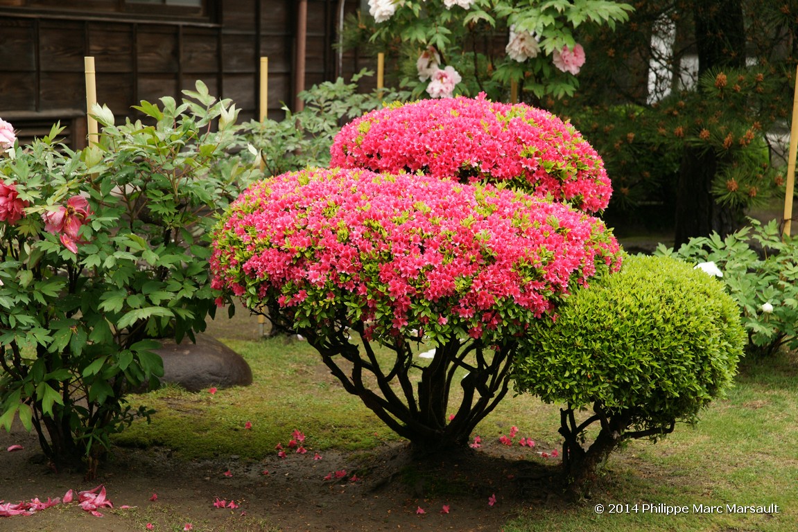 /ecran/Japon_2014_1757.jpg