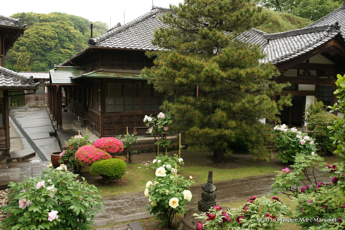 /ecran/Japon_2014_1760.jpg