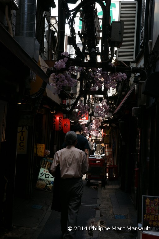 /ecran/Japon_2014_1878.jpg