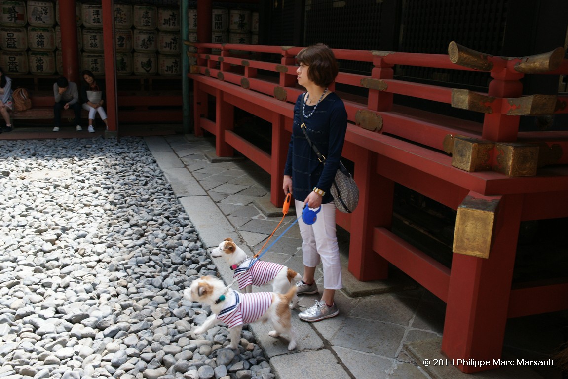 /ecran/Japon_2014_2041.jpg