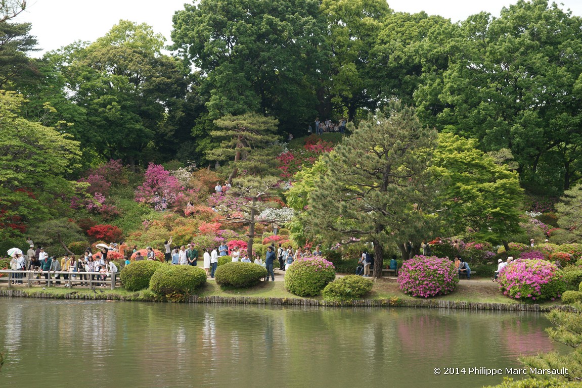 /ecran/Japon_2014_2283.jpg