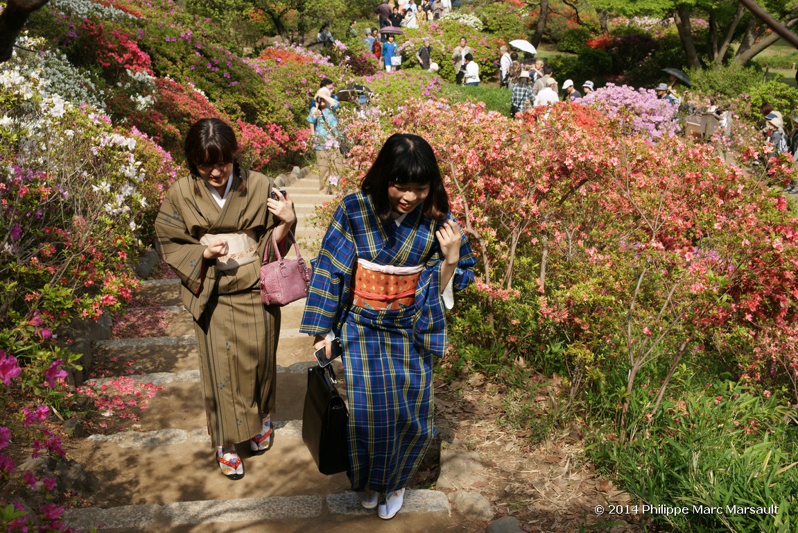 /ecran/Japon_2014_2316.jpg