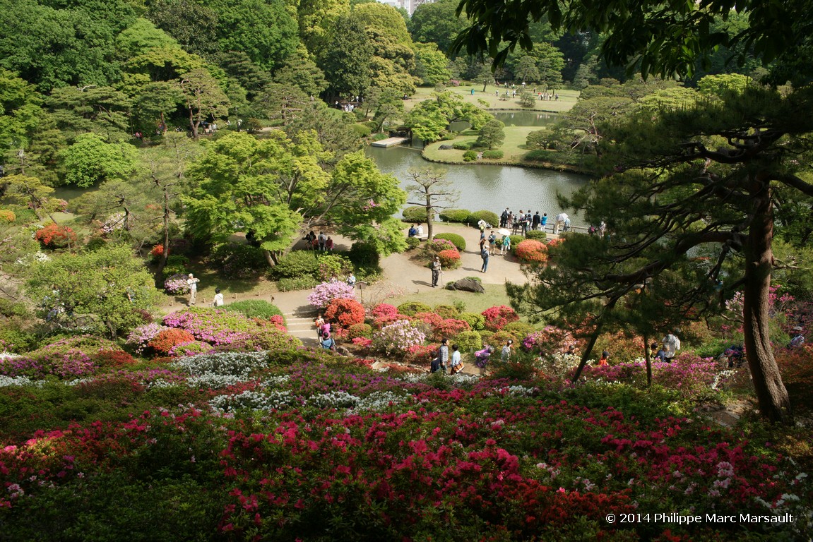 /ecran/Japon_2014_2320.jpg