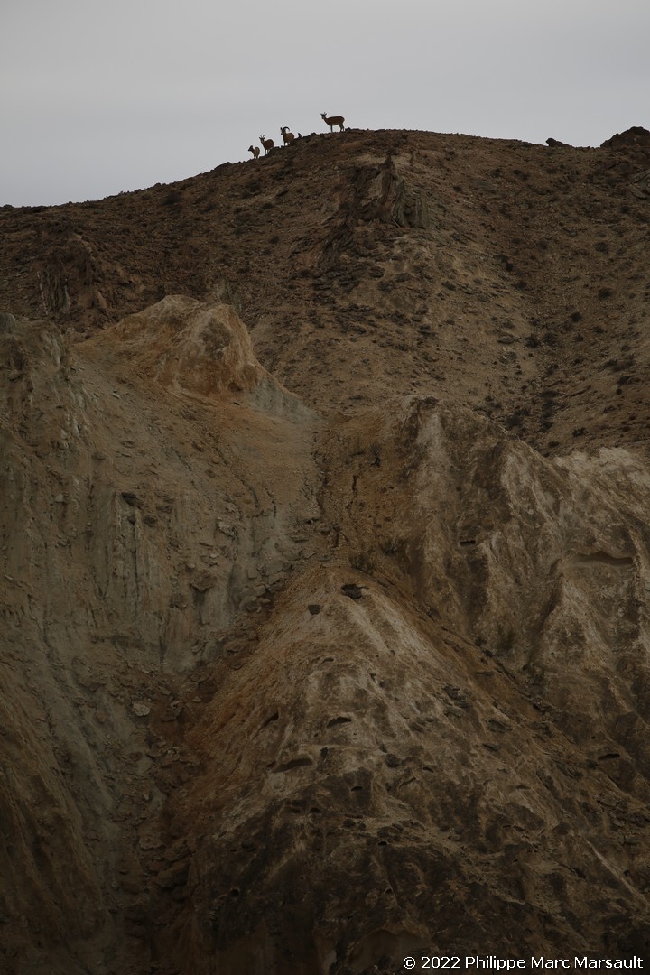 /ecran/Kazakhstan_0488.jpg